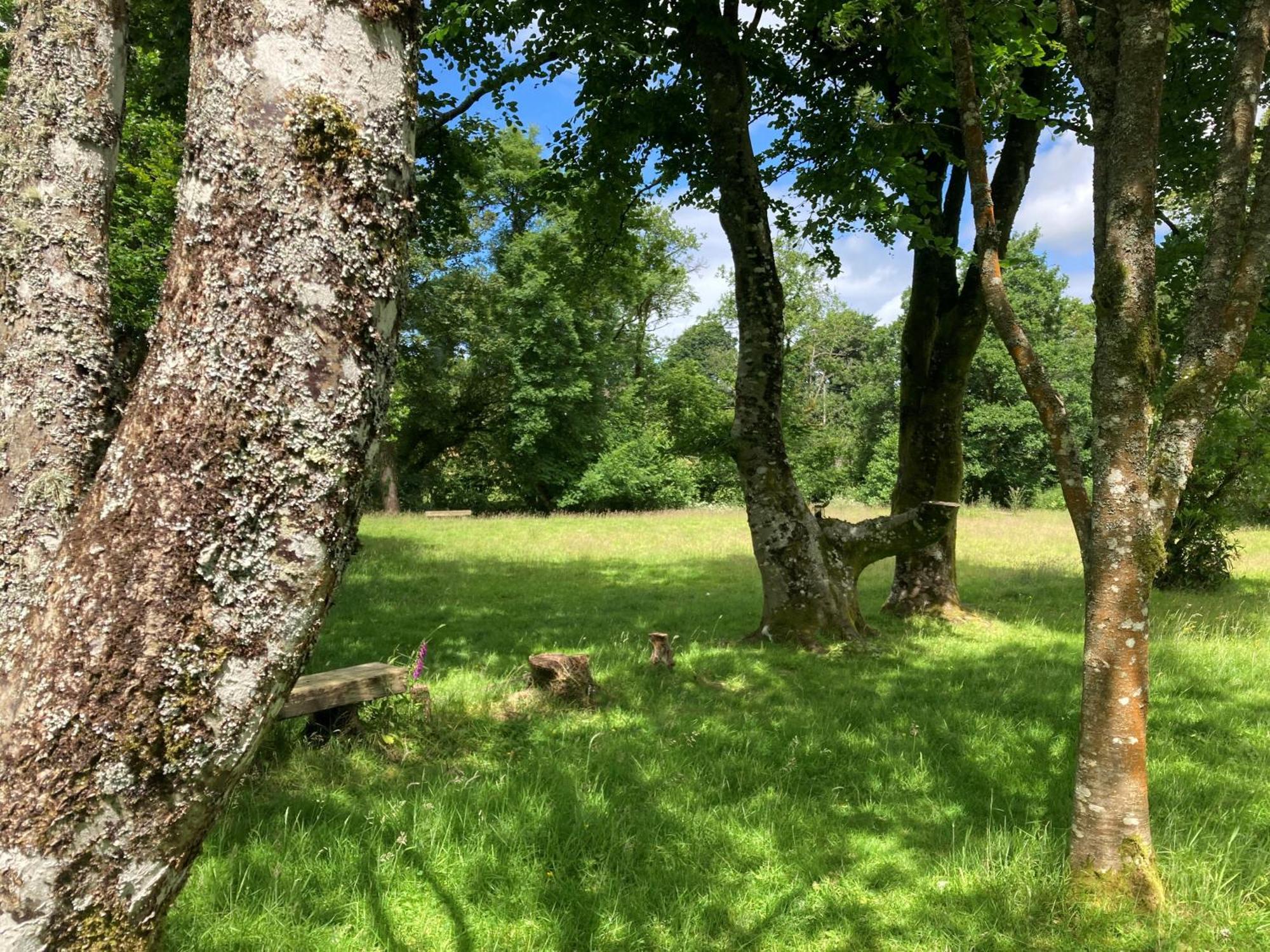 Serenity House Wales Llangammarch Wells Bagian luar foto
